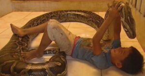 何年もニシキヘビと眠っていた少年…ありえない友情の結末は悲劇だった