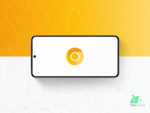 Google Chrome Canary