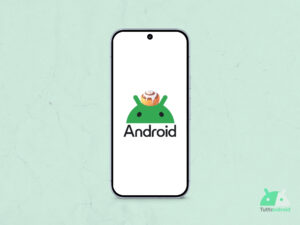 Android 17 Cinnamon Bun codename hero