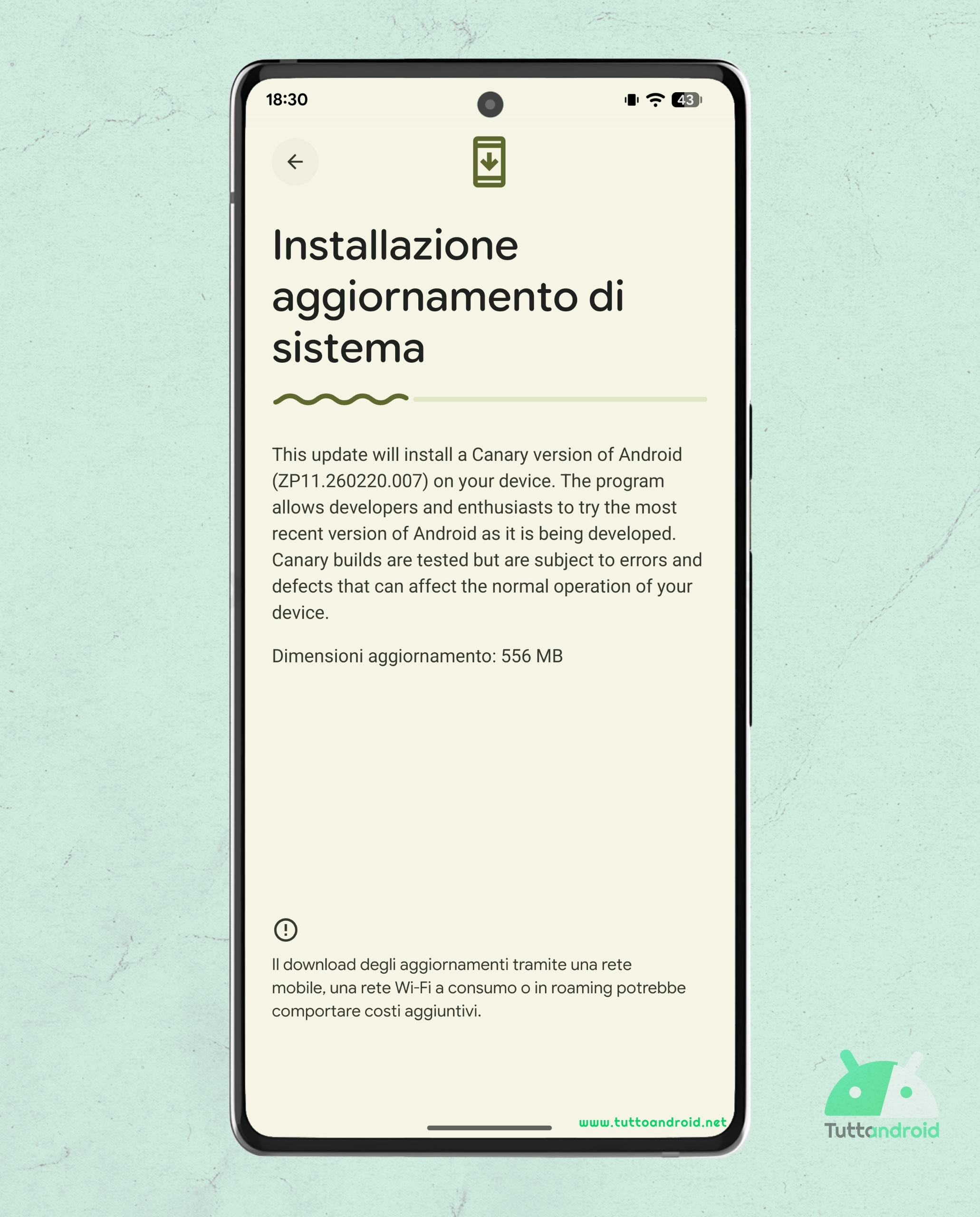 Google Pixel 6 Pro 上の Android Canary ビルド 2603