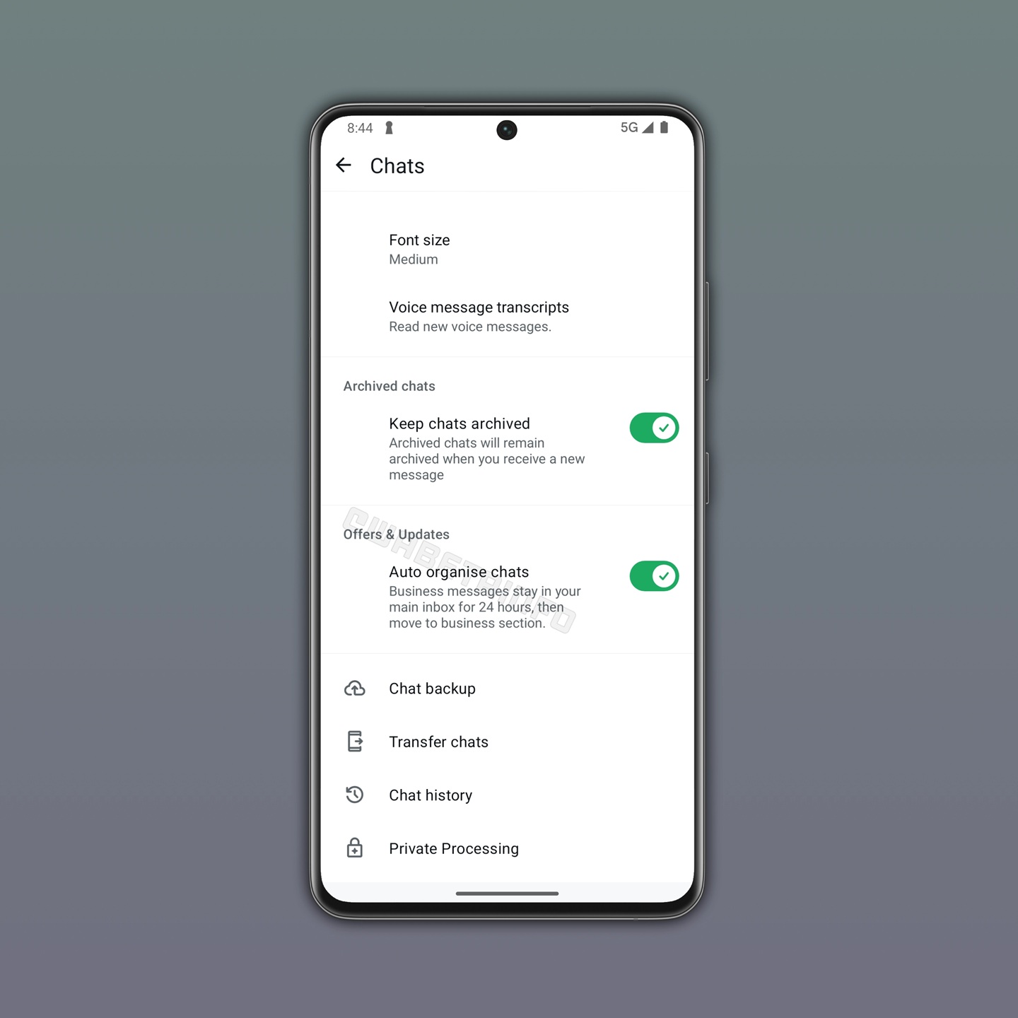 WhatsApp ベータ版 v2.26.15.9 - ビジネス チャットを自動整理