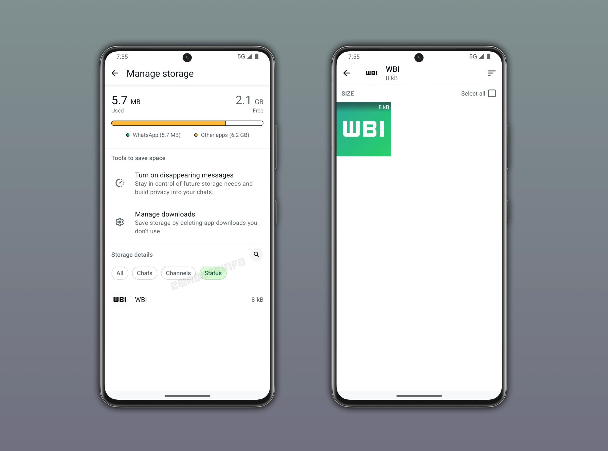 WhatsAppステータスストレージ