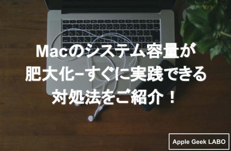 Macのシステム容量が肥大化 おかしいと思った際の対処法 Apple Geek Labo